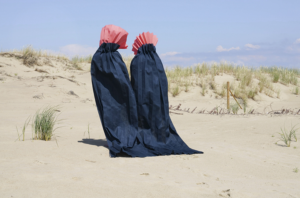 Hering und die Fluse